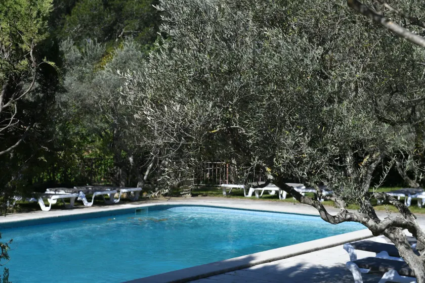 Hôtel Villa Glanum et Spa - Image 1
