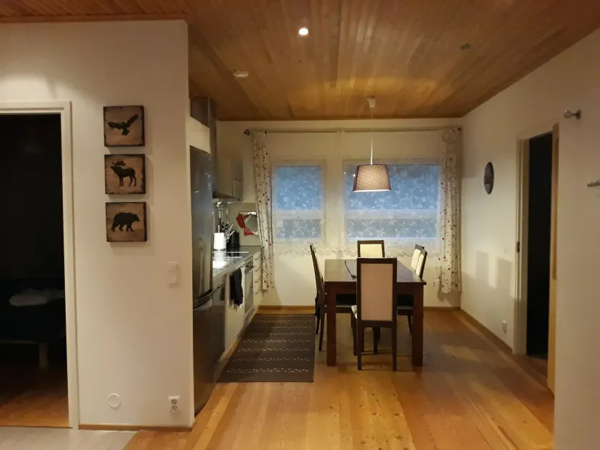 Pajarinniemi Cottage - Image 1