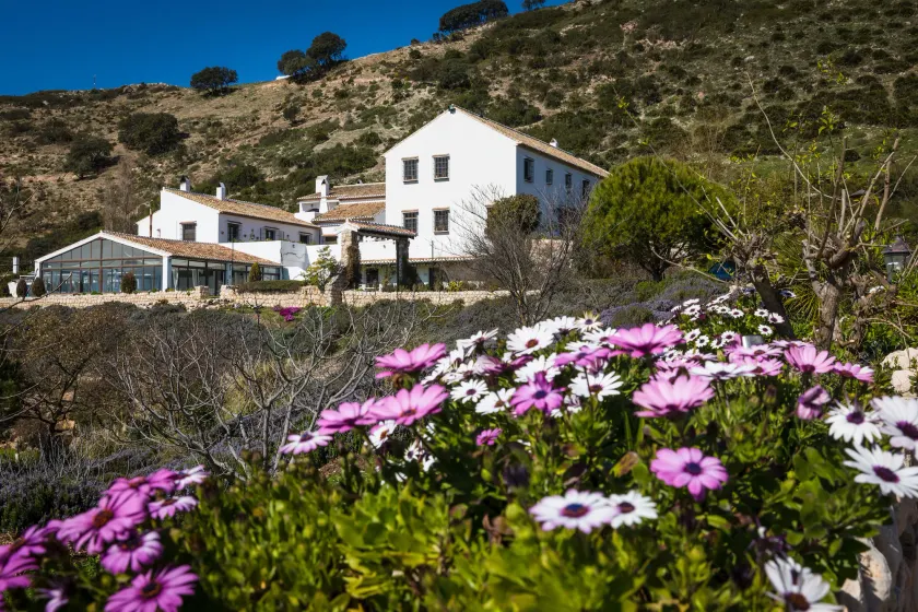 Hotel Fuente del Sol - Image 1