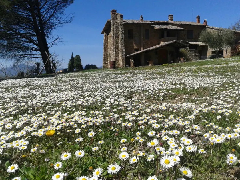 Agriturismo Le Roghete - Image 1