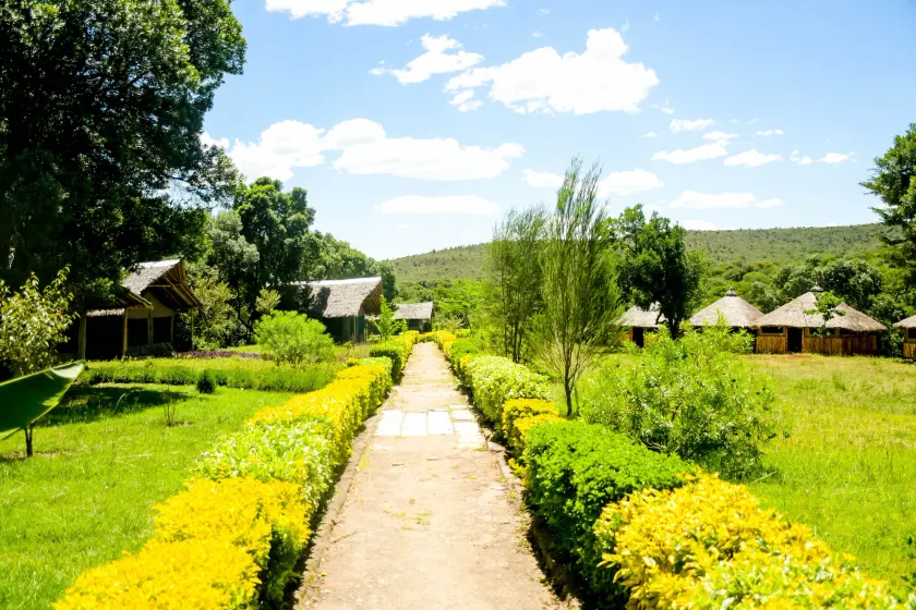 Giraffe Hills Mara Camp - Image 1