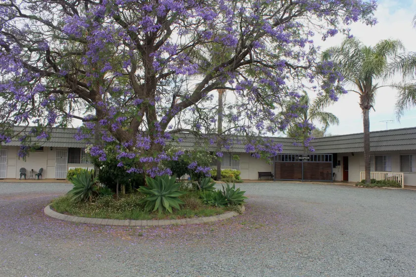 Aromet Motor Inn - Image 1