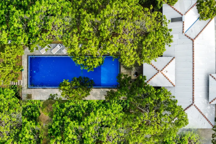 Jungle Breeze Yala By Forest Trails - Image 1