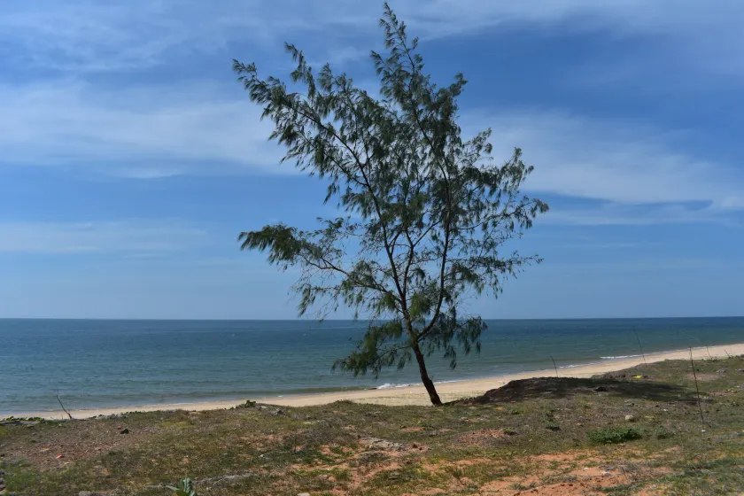 Son Tra Guesthouse - Image 1