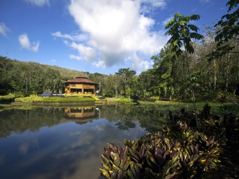 Macaw Lodge  - Image 1