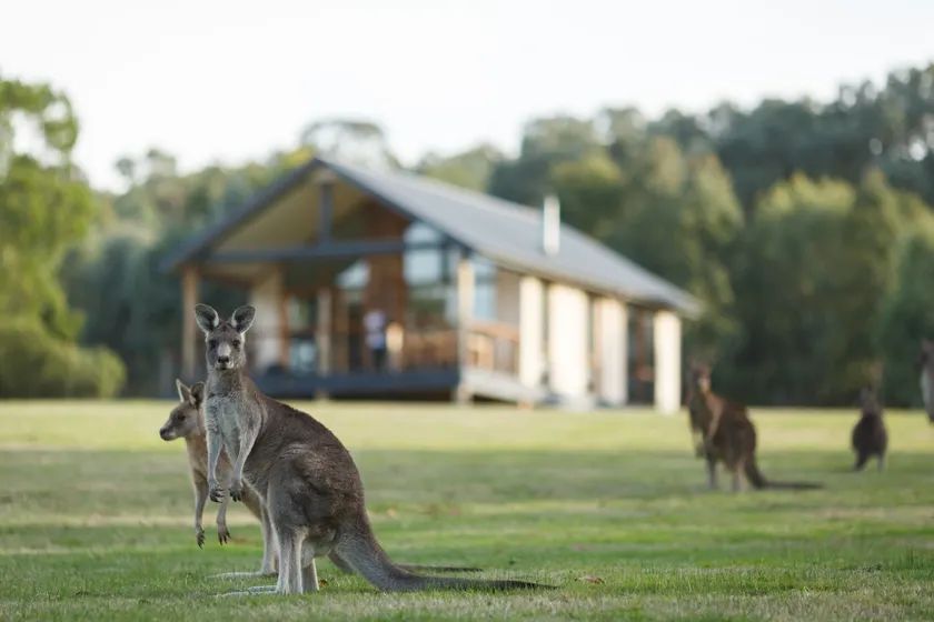 Yering Gorge Cottages - Image 1