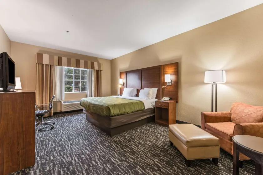 Quality Inn & Suites Hendersonville - Flat Rock - Image 1