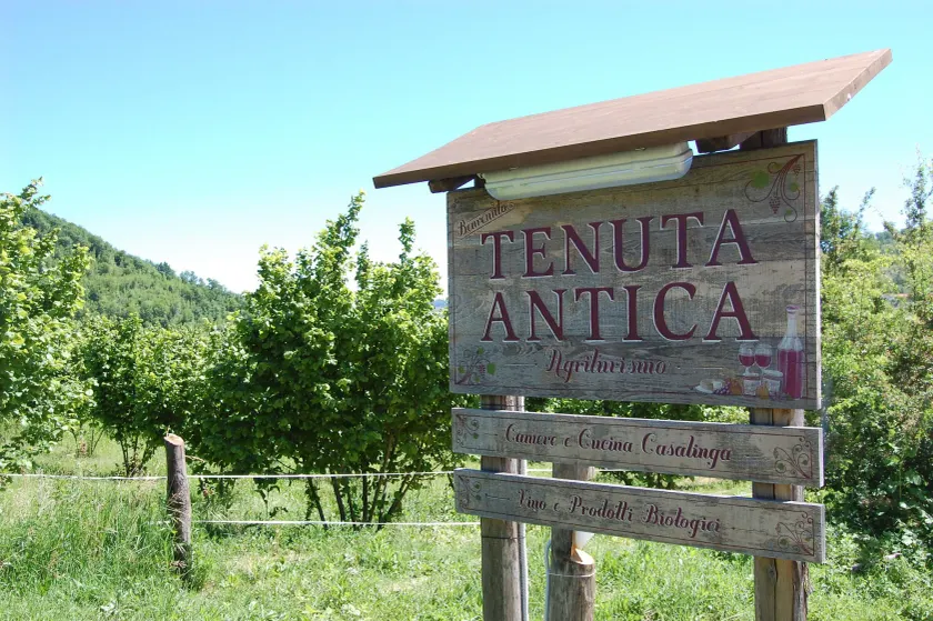 Agriturismo Tenuta Antica - Image 1