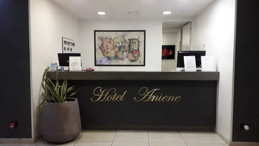 Hotel Aniene - Reception