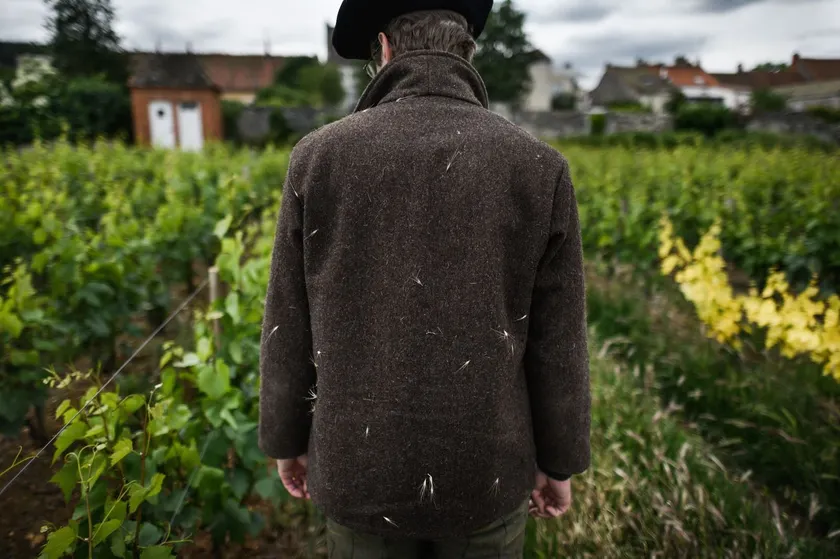 Château Armand Heitz - Domaine Armand Heitz - Image 1