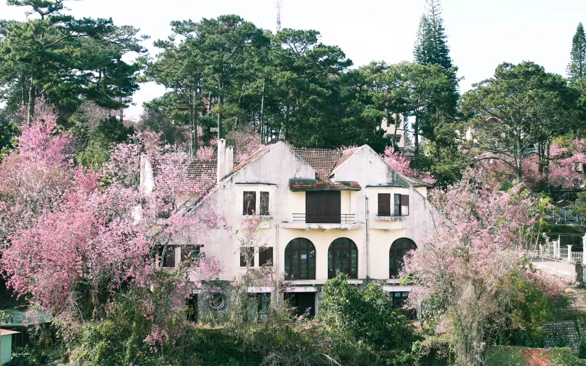 Homestay Thuy Duong - Image 1