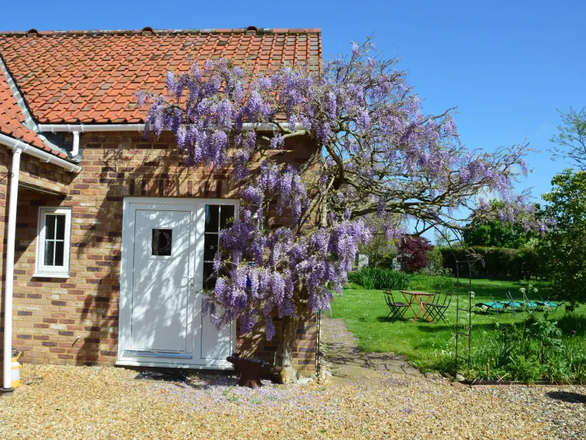 Wisteria Cottage - Image 1