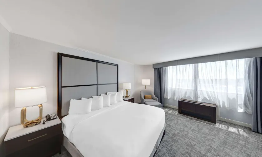 Hilton Chicago/Oak Lawn - Image 1