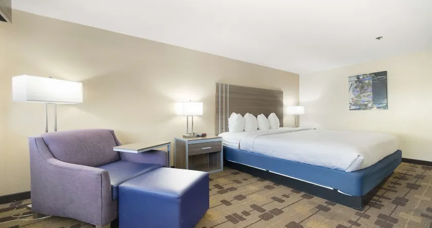 Best Western Amador Inn - Image 1