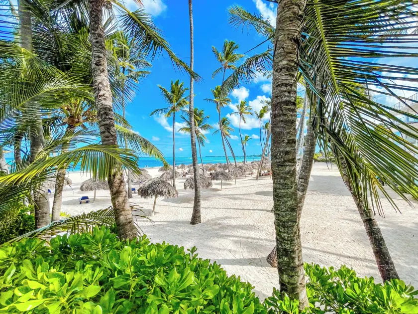RELAX STUDIES DELUXE SOL CARIBE - Image 1