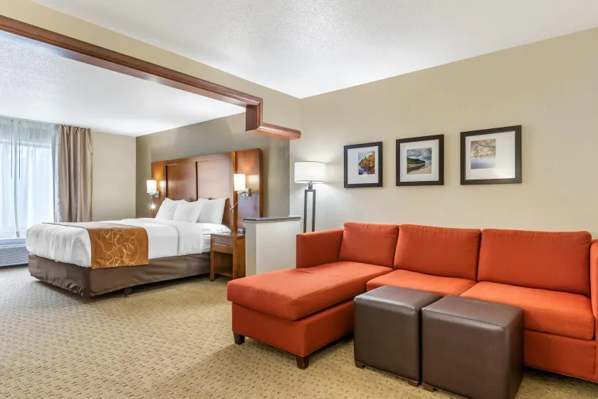 Comfort Suites Grand Rapids North - Image 1