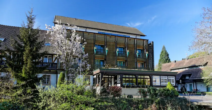 Hotel Hirschen - Image 1