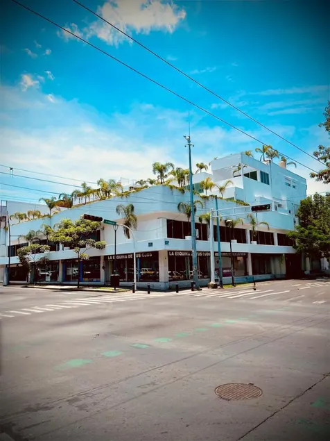 La casa de las palmeras - Image 1