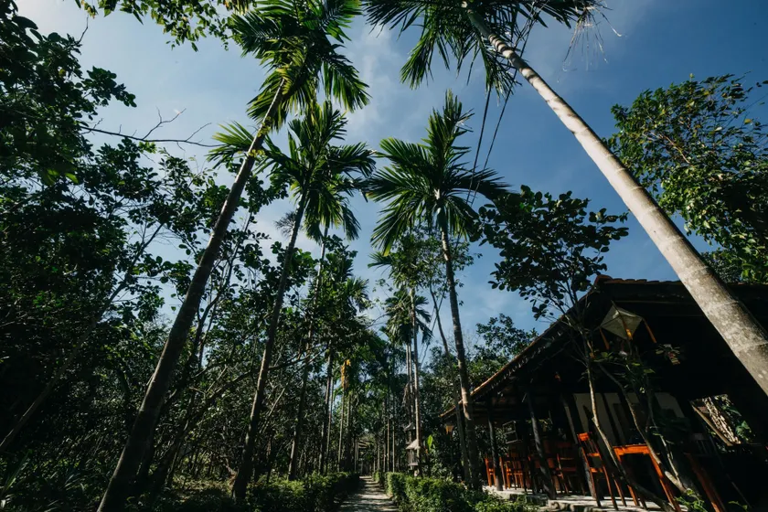 Thuy Bieu Homestay - Image 1