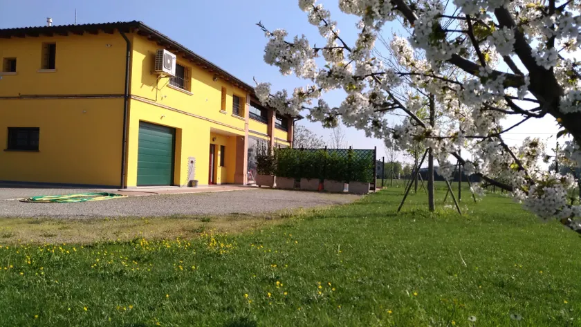 B&B Il Portico - Image 1