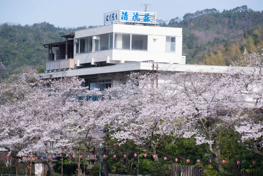 Seiryuso - Image 1