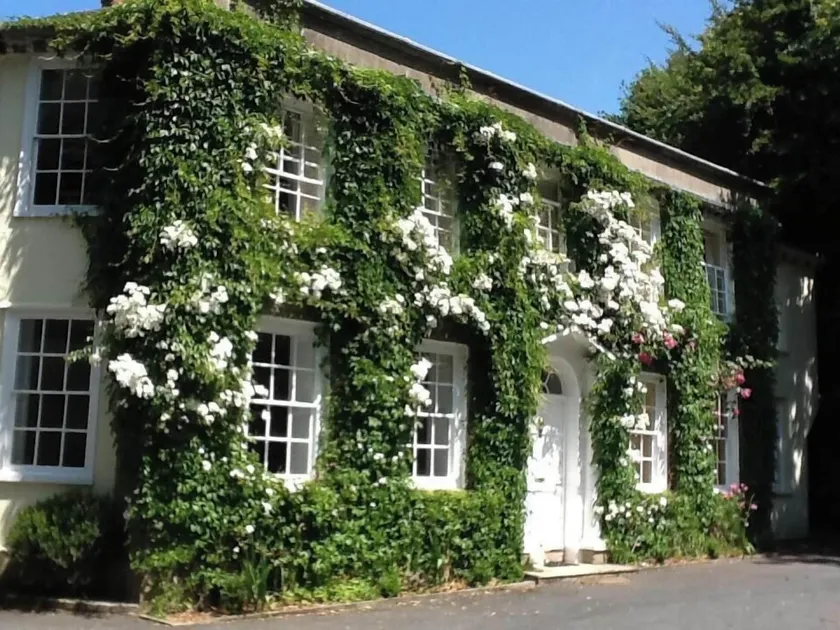 Rose in Vale Country House Hotel - Image 1