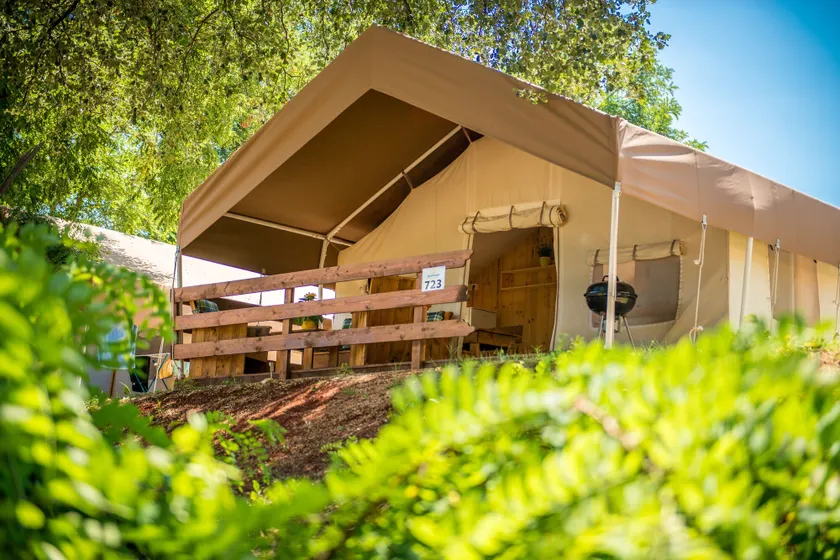 Sunflower Camping - Image 1