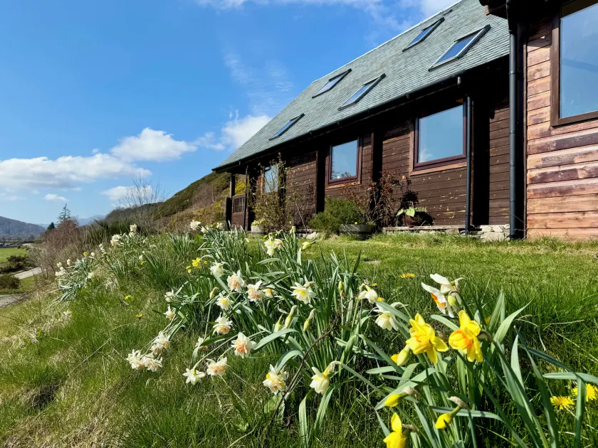 The Lodge - Image 1