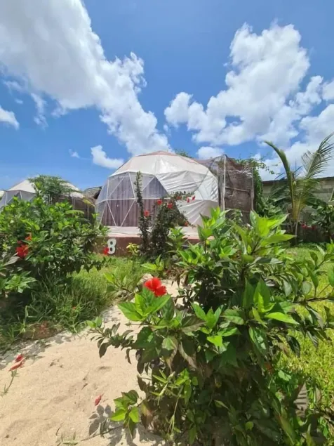 Paradise city - Image 1