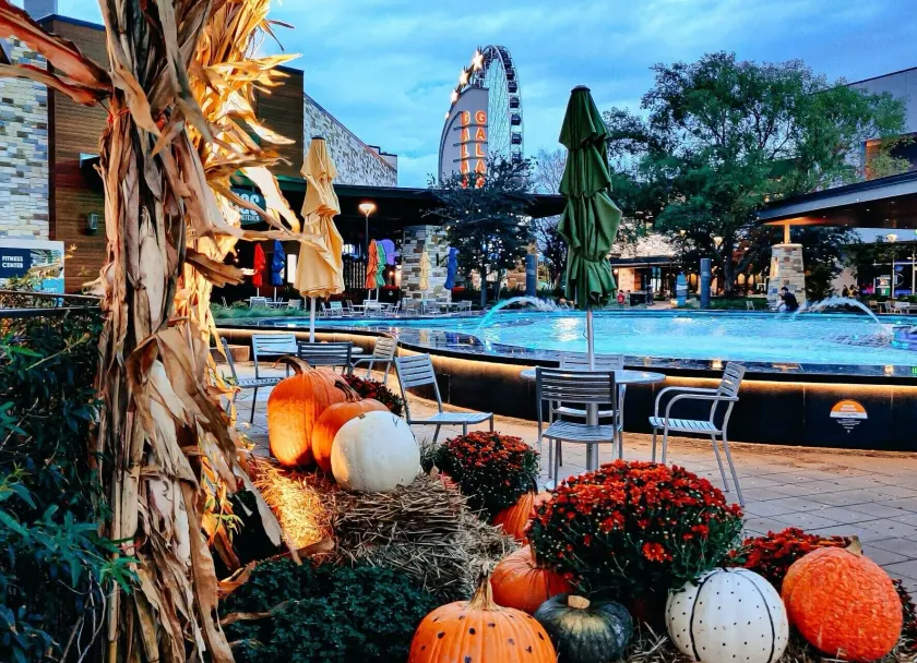 Hilton Garden Inn The Colony Dallas - Sehenswürdigkeit