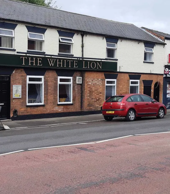 The White Lion - Image 1