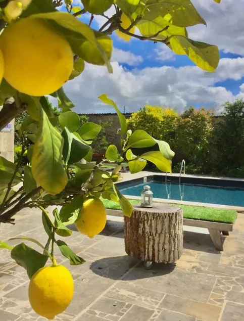 Domaine de Rennebourg - Image 1