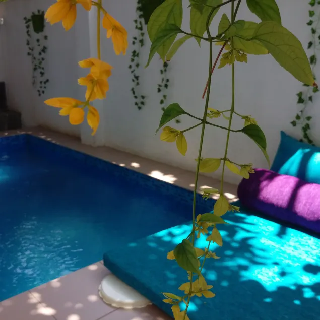 Villa Seven Panadura - Image 1