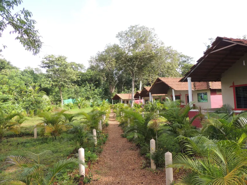 Jungle Nest Homestay - Image 1