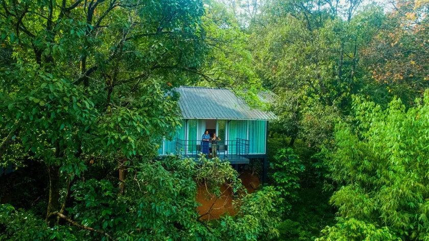 Wayanad Wild - A CGH Earth Experience - Image 1