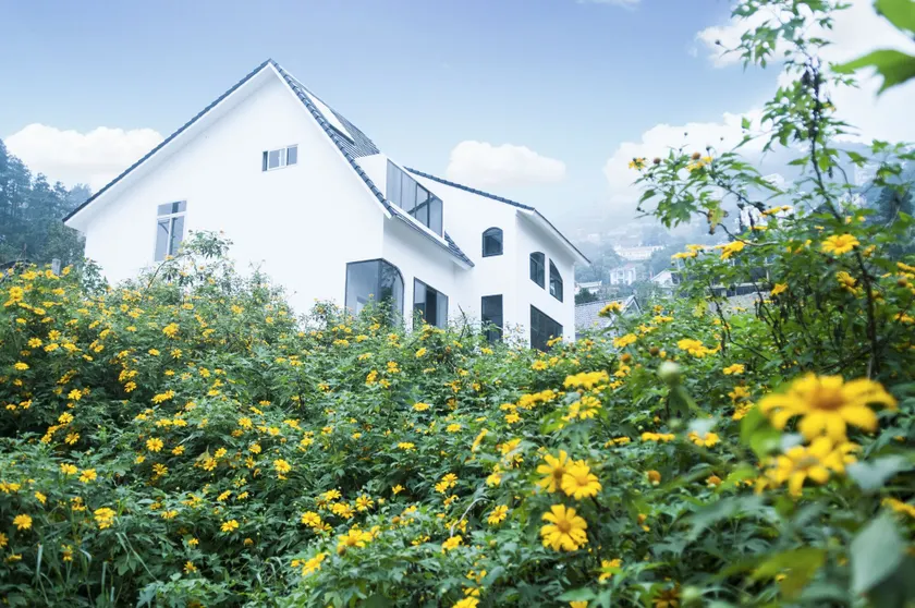 Le vent Tam Đảo homestay - Image 1