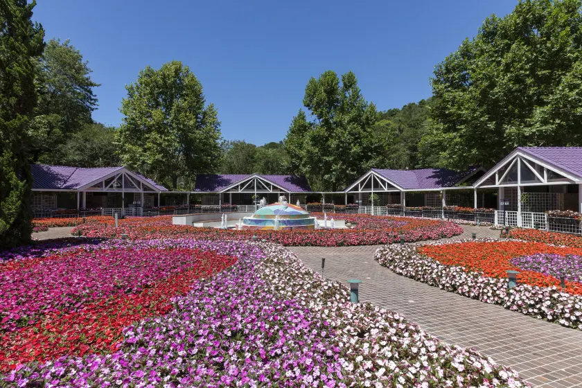 Unique Garden - Image 1