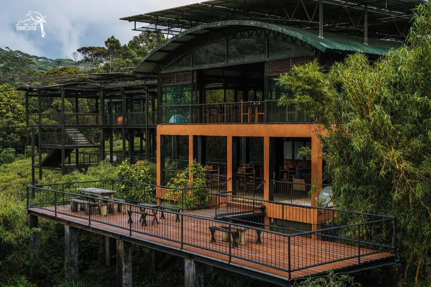 The Rainforest Ecolodge - Sinharaja with Shuttle Service from Car Park - Image 1