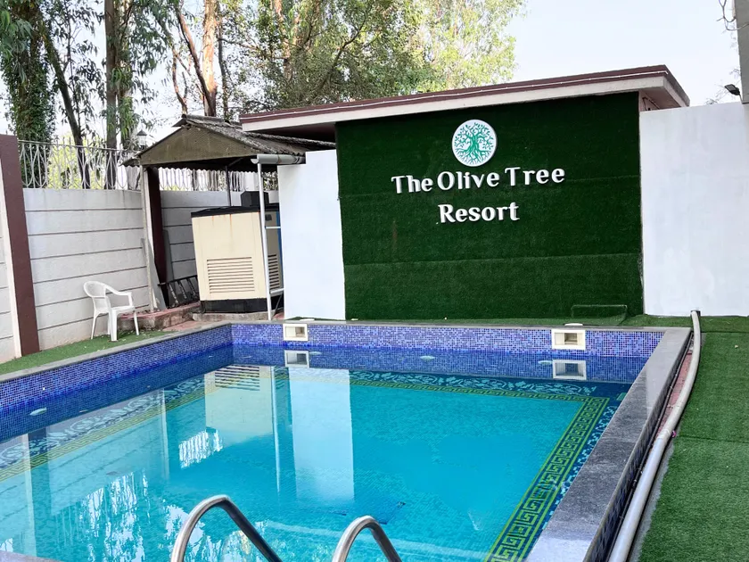 Olive Tree Resort - Image 1