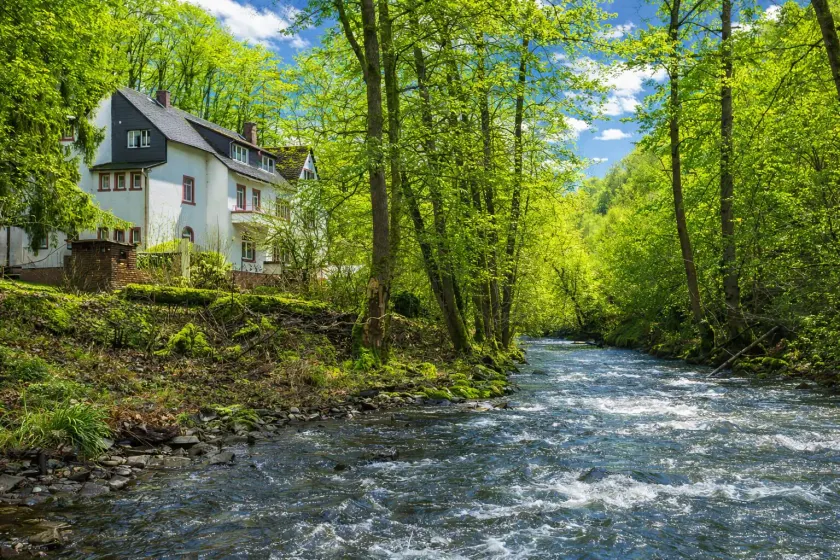 Wald Villa Üssbach - Image 1