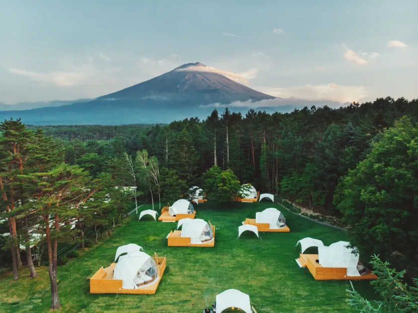 PICA Fujiyama - Image 1