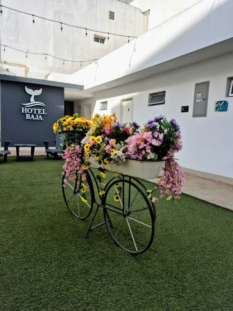 Hotel Baja - Image 1