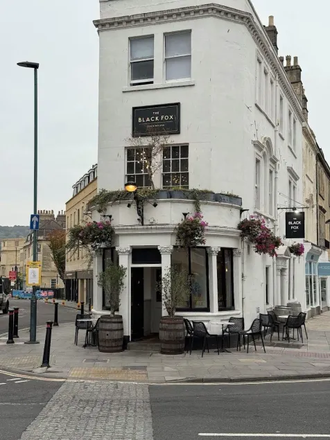 The Black Fox - Image 1
