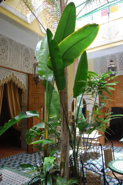 Riad Dar Zouhour - Image 1