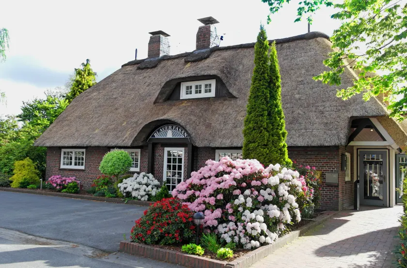 Hotel Blauer Fasan - Image 1
