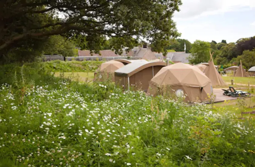 Durrell Wildlife Camp - Image 1
