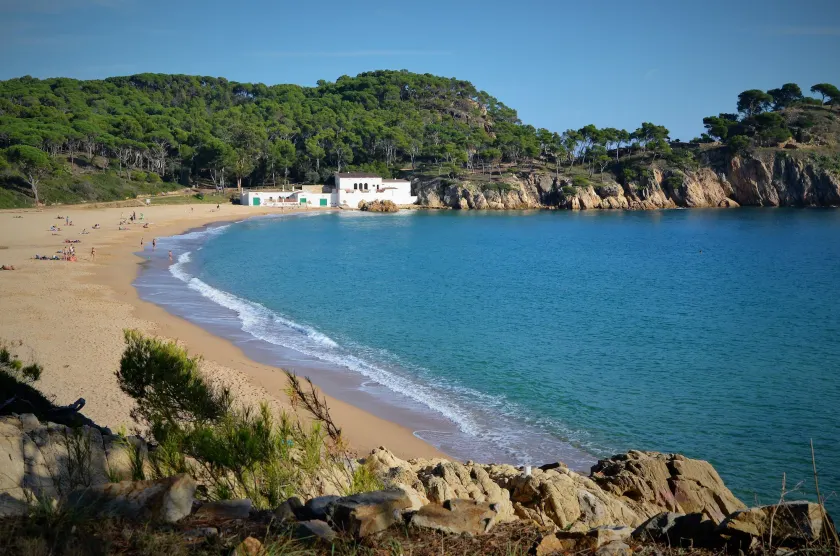 Apartamentos Laura Mar  - Image 1