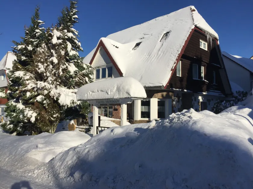 Hotel-Pension Teutonia - Image 1