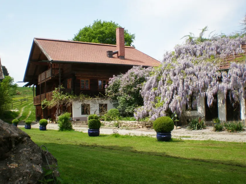 Wampendobler Paradies - Image 1