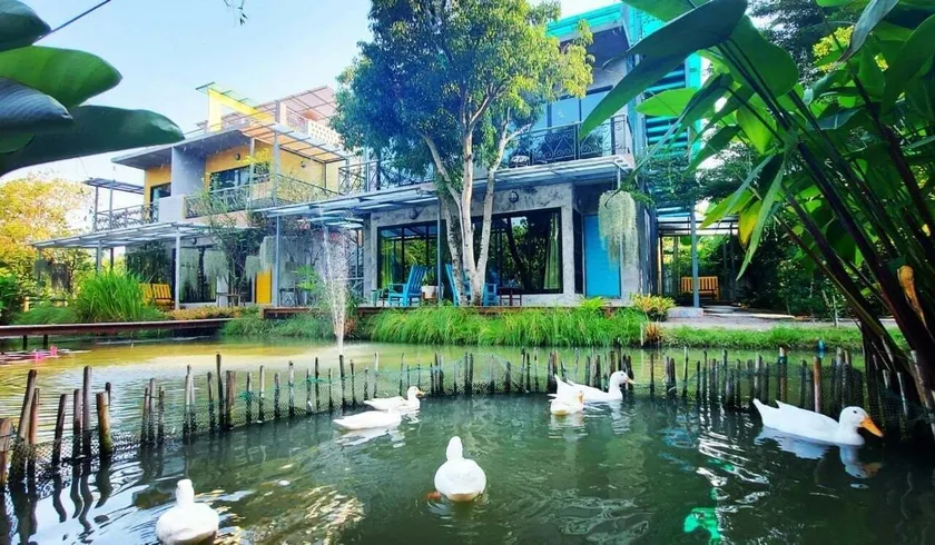 River CoCo @ Amphawa - Image 1